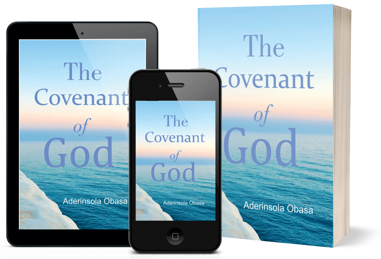 The Covenant of God book cover in different formats